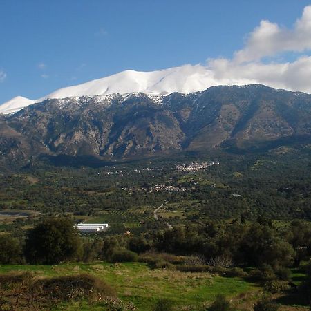 Aposeti Villas Petrochori  Exteriér fotografie